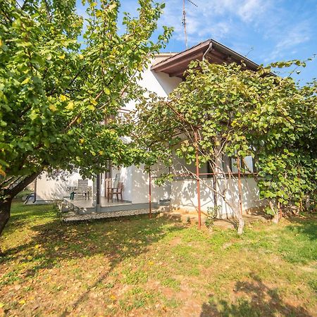 Villa Aleksandar Πόρετς Εξωτερικό φωτογραφία